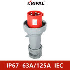Norme 63A 125A 380V du CEI industriel triphasé de prise et de prise d'IP67